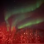 Arctic Luxury Northern Lights View Alta