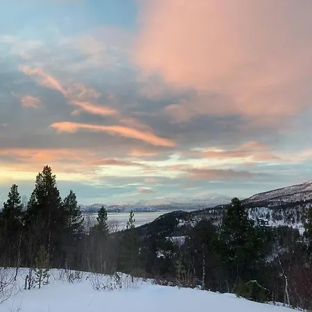 Willa Arctic Luxury Northern Lights View Alta
