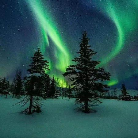 Arctic Luxury Northern Lights View Βίλα *