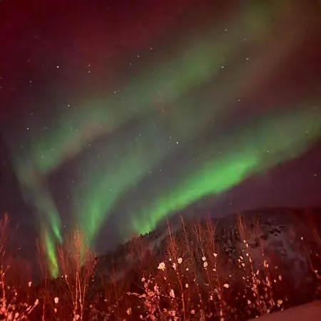Arctic Luxury Northern Lights View