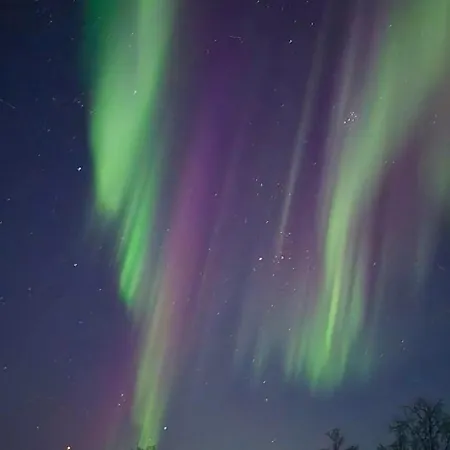 Arctic Luxury Northern Lights View Villaer