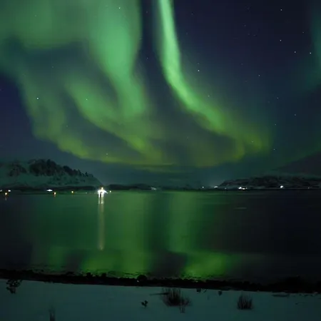 Villaer Arctic Luxury Northern Lights View *