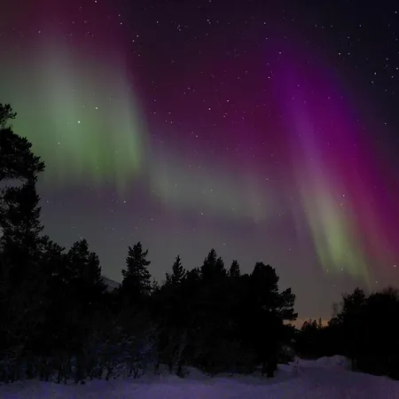 Arctic Luxury Northern Lights View