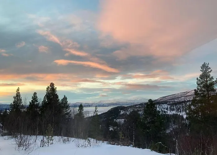 Villa Arctic Luxury Northern Lights View Alta