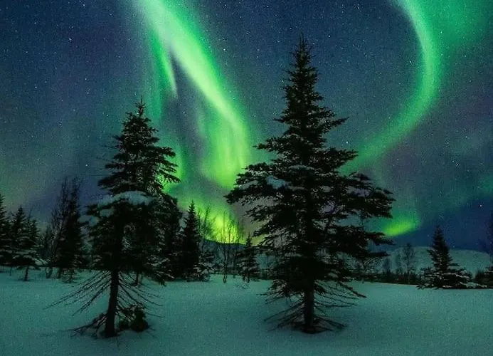 Arctic Luxury Northern Lights View Villa *