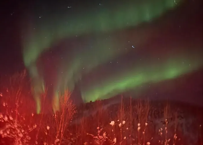 Arctic Luxury Northern Lights View Alta