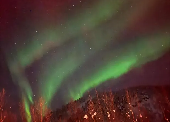 Arctic Luxury Northern Lights View
