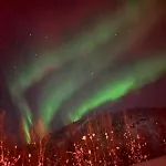Arctic Luxury Northern Lights View