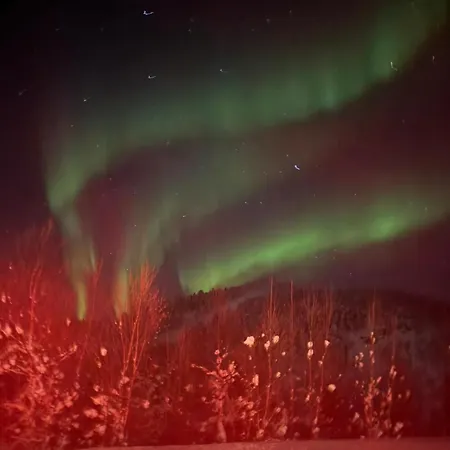 Arctic Luxury Northern Lights View Альта